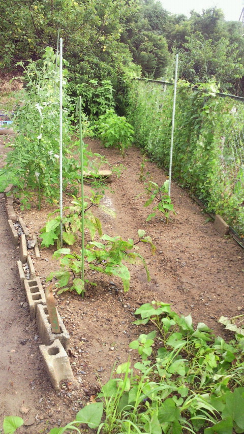 2012072310080000.jpg