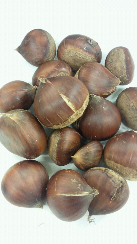 2012091016020000.jpg