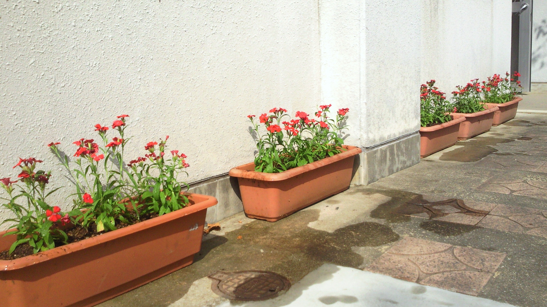 2012101010260000.jpg