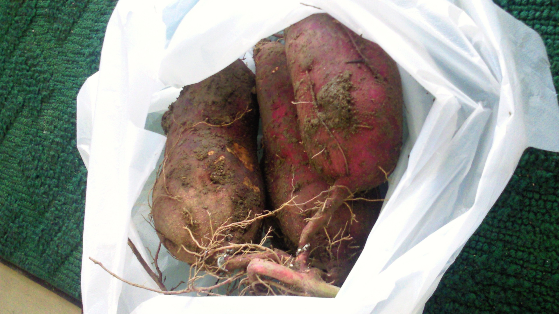 2012102410500000.jpg