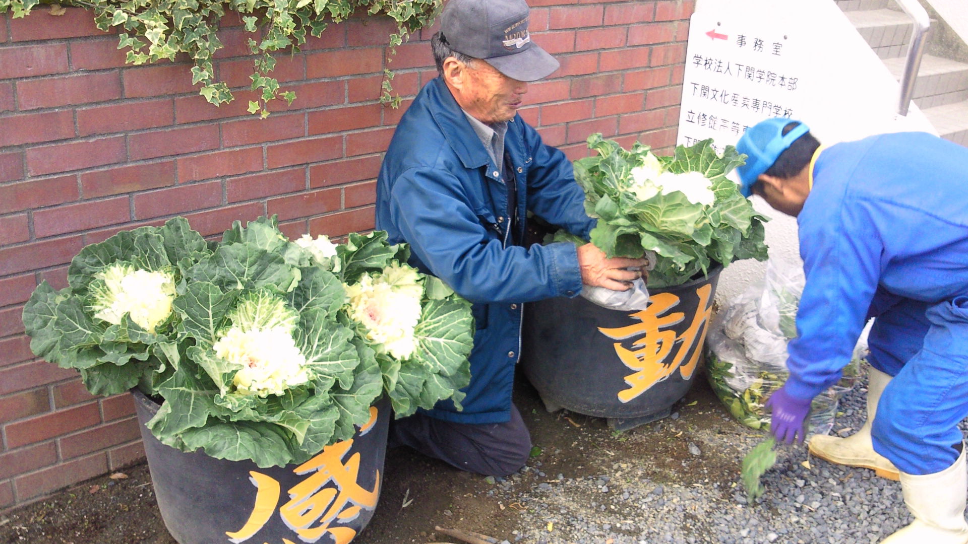 2012112812210000.jpg