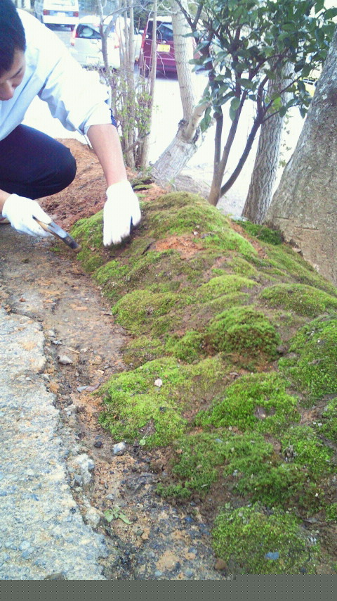 2013011116370000.jpg