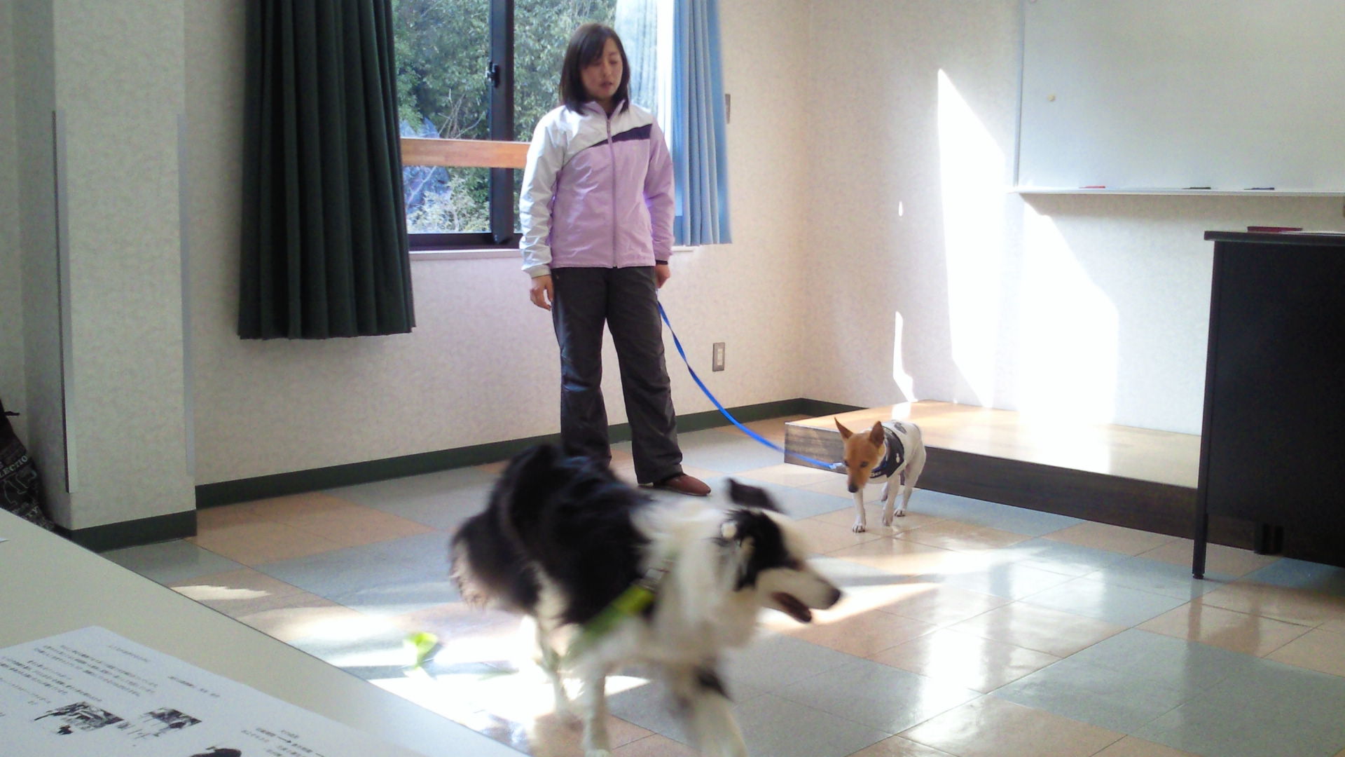 2013012313590000.jpg