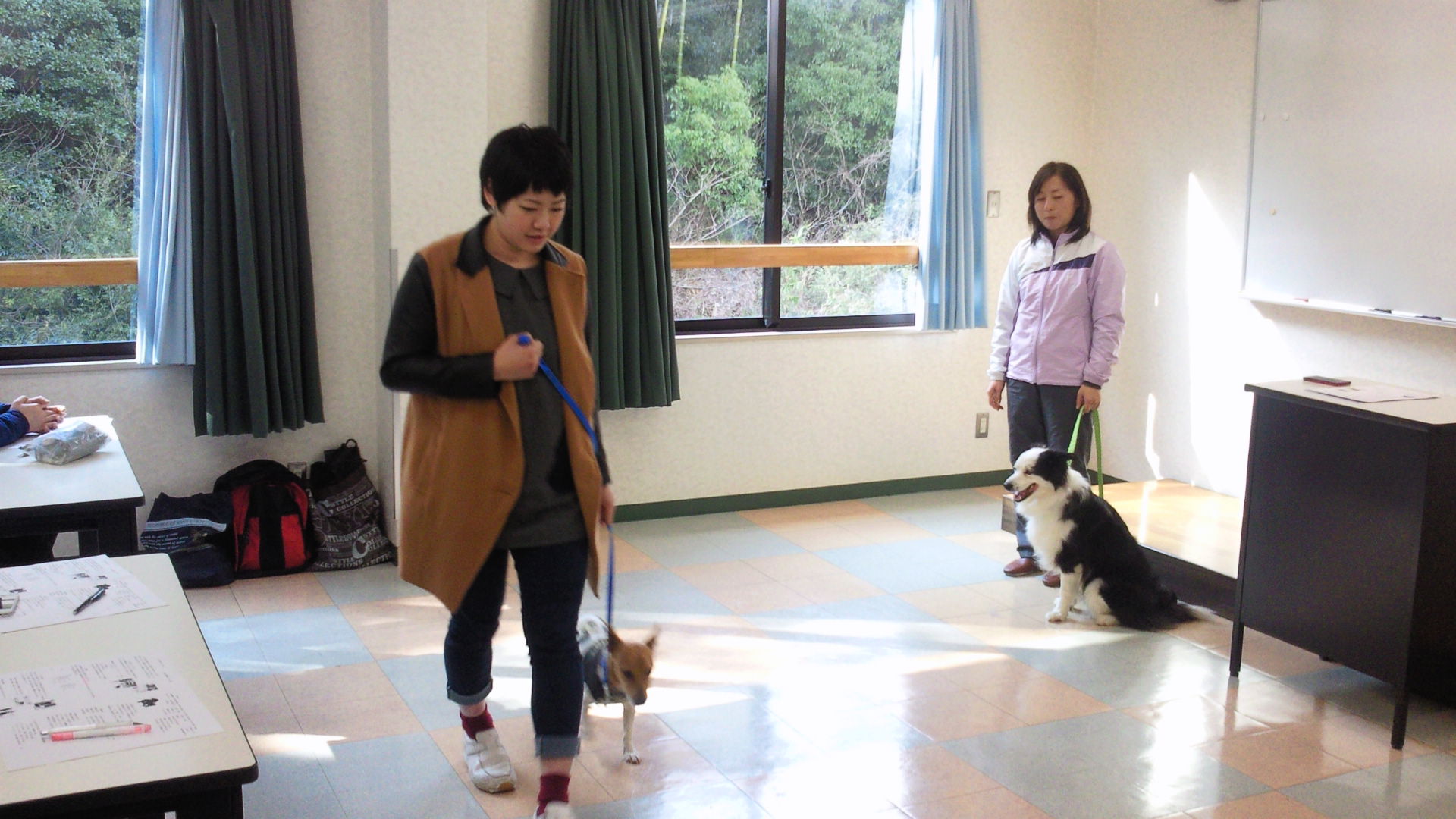2013012313590001.jpg