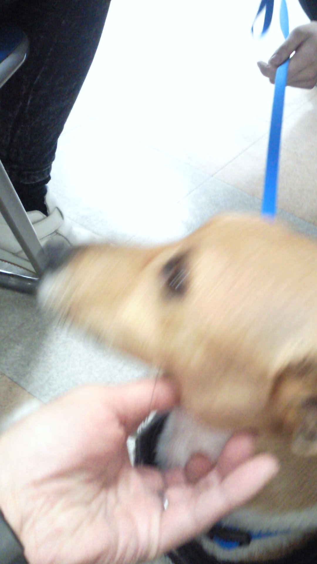 2013012314010000.jpg