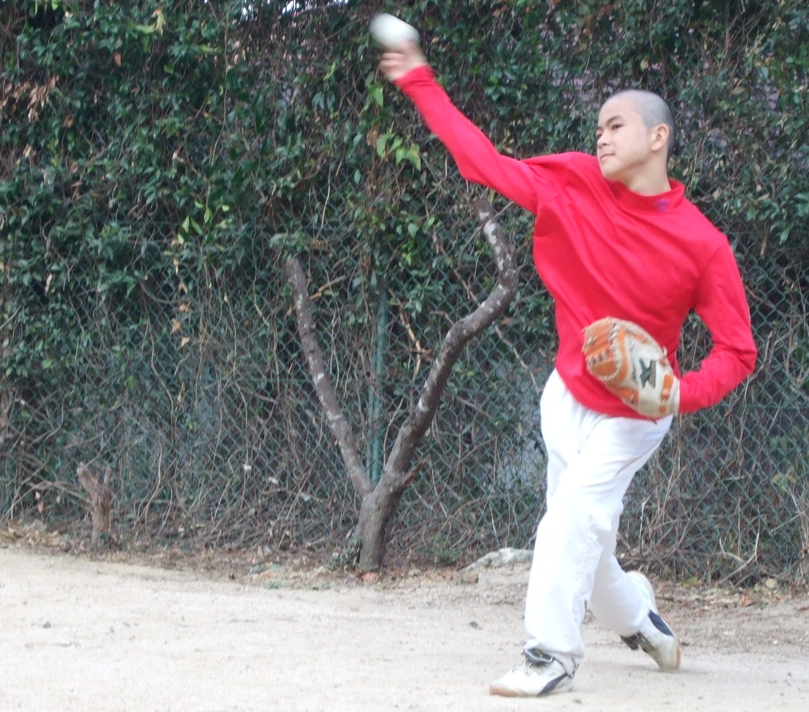 DSCF4454.JPG
