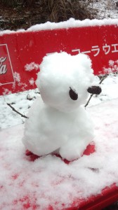 IMG_20140206_110633371